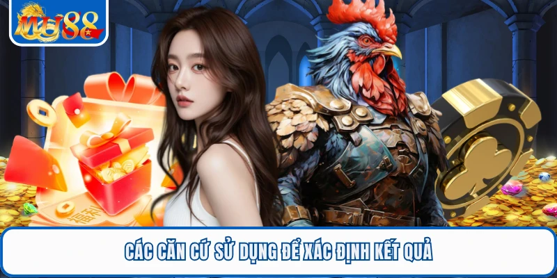 Đá Gà Cựa Sắt - Sảnh Trực Tiếp Thomo Uy Tín Nhất MU88 2 Các căn cứ sử dụng để xác định kết quả