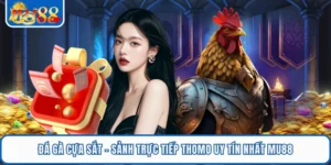 Đá Gà Cựa Sắt - Sảnh Trực Tiếp Thomo Uy Tín Nhất MU88
