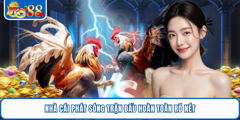 Đá Gà Cựa Sắt - Sảnh Trực Tiếp Thomo Uy Tín Nhất MU88 3 Nhà cái phát sóng trận đấu hoàn toàn rõ nét