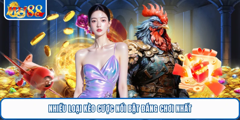 WS168 Đá Gà - Sảnh Giải Trí Thu Hút Đông Đảo Hội Viên MU88 3 Nhiều loại kèo cược nổi bật đáng chơi nhất