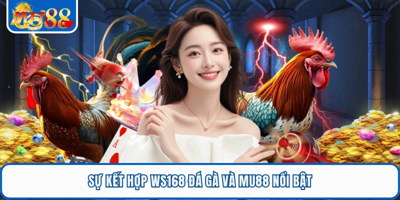WS168 Đá Gà - Sảnh Giải Trí Thu Hút Đông Đảo Hội Viên MU88 1 Sự kết hợp WS168 đá gà và MU88 nổi bật