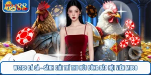 ws168 da ga sanh giai tri thu hut dong dao hoi vien mu88